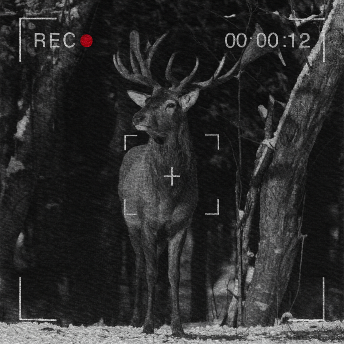 Caméra de chasse 4G Live Pro – Enregistrement 4K & Batterie Rechargeable