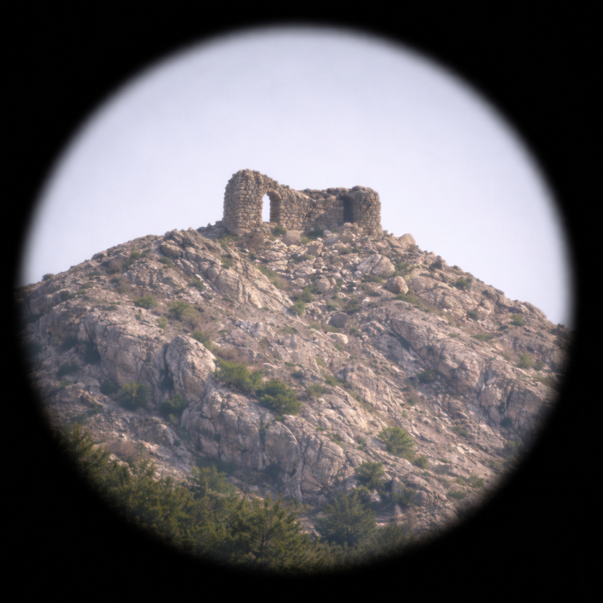 Jumelles 20×50 — Objectif 50 mm